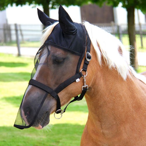 Afbeelding Halster met vliegenmasker Pony door Wohi.nl