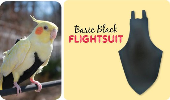 Flightsuit papegaaienluier Wide Zwart