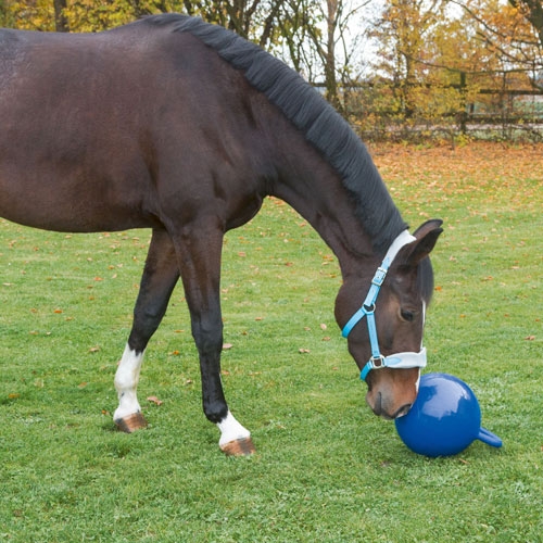 Afbeelding Paardenspeelbal Inge Blauw door Wohi.nl