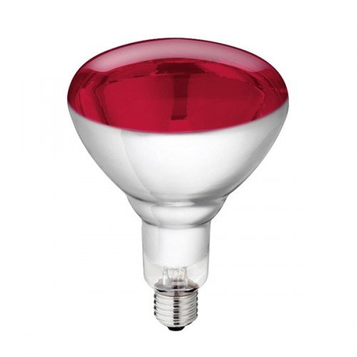 Philips warmtelamp 150Watt Rood Gehard